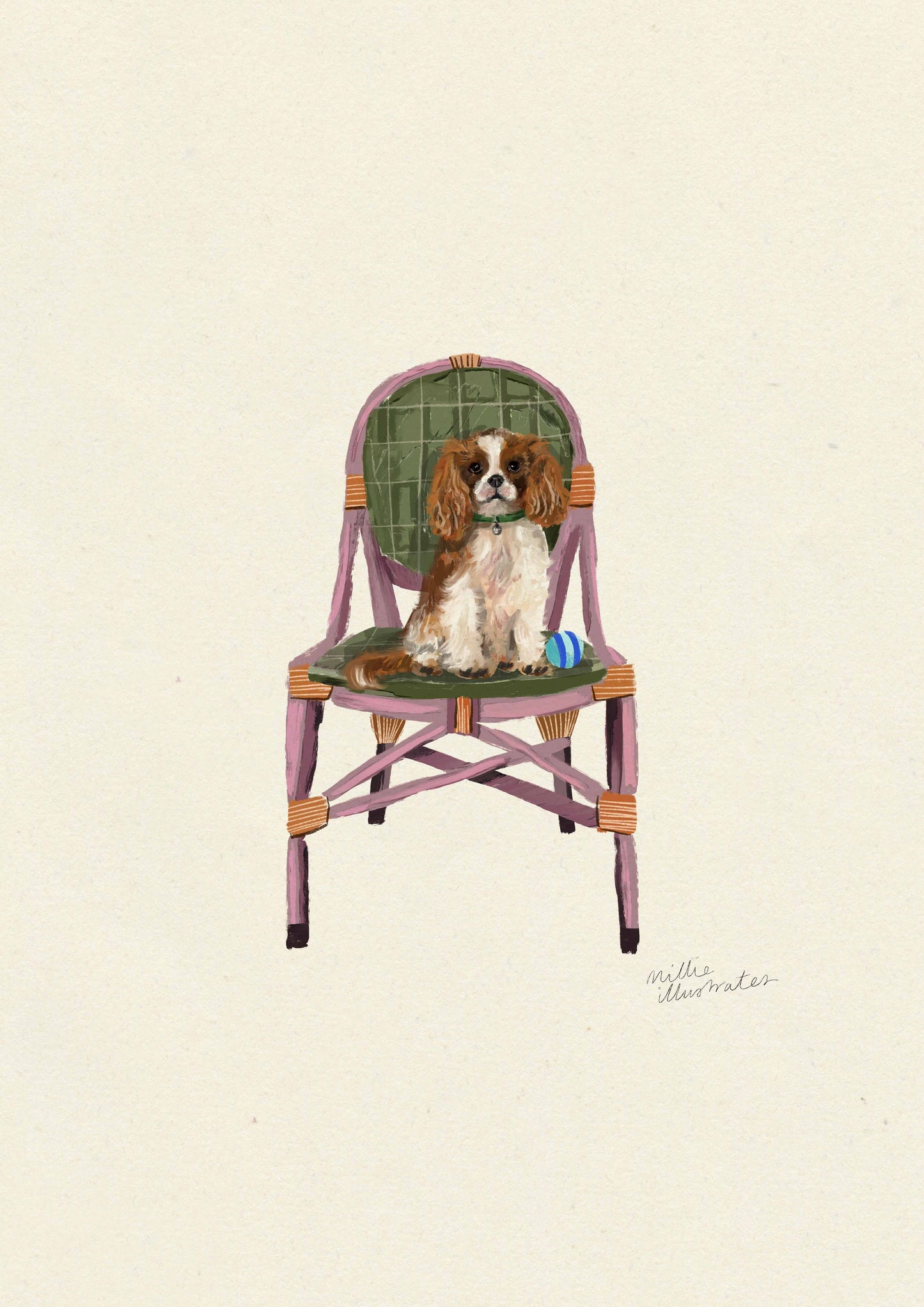 Cavalier King Charles Spaniel - Blenheim