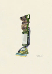 Koala on the Hoover