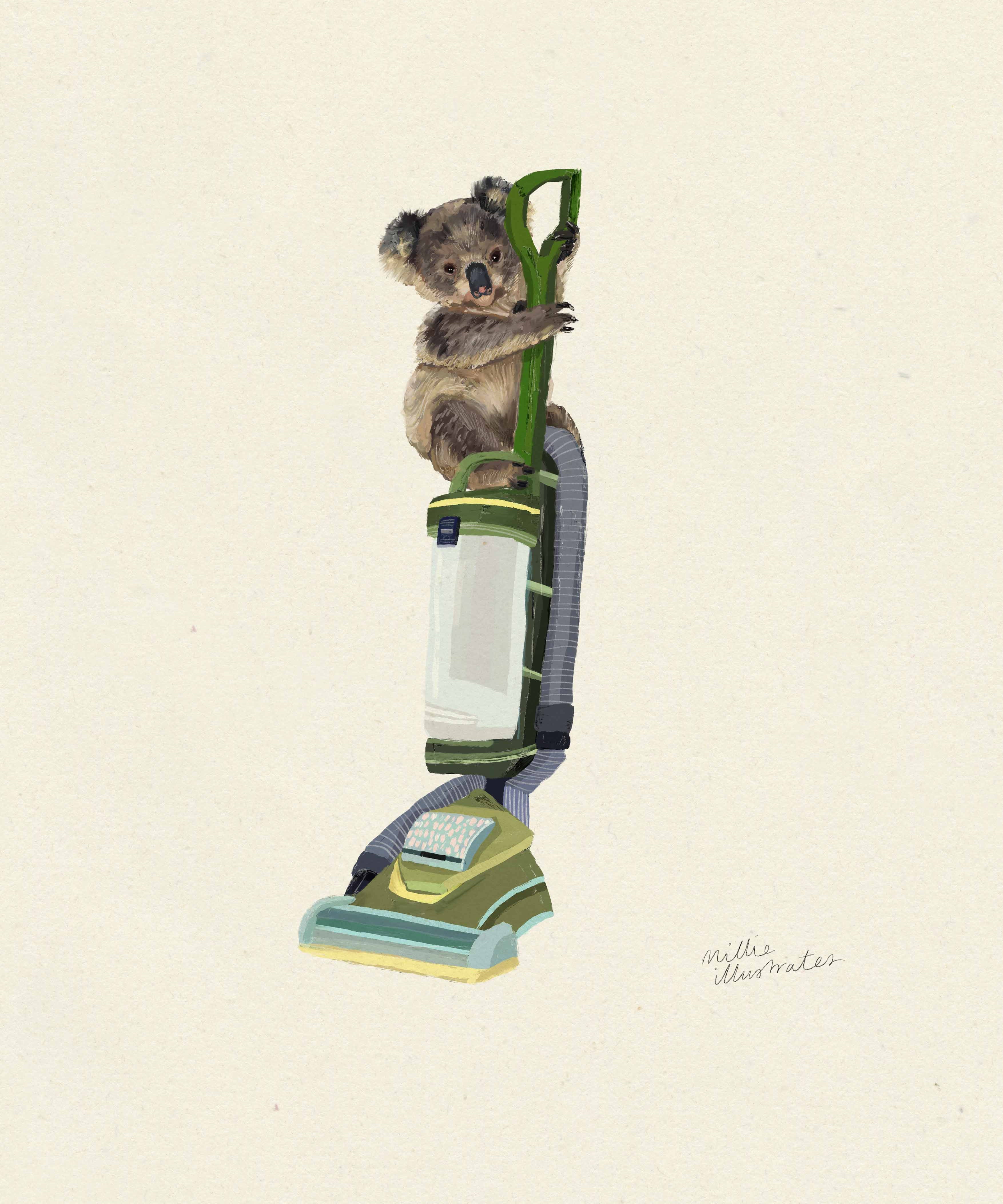 koala.jpg