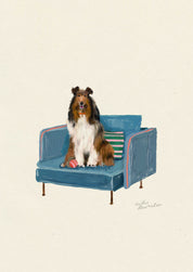 Rough Collie (Lassie)