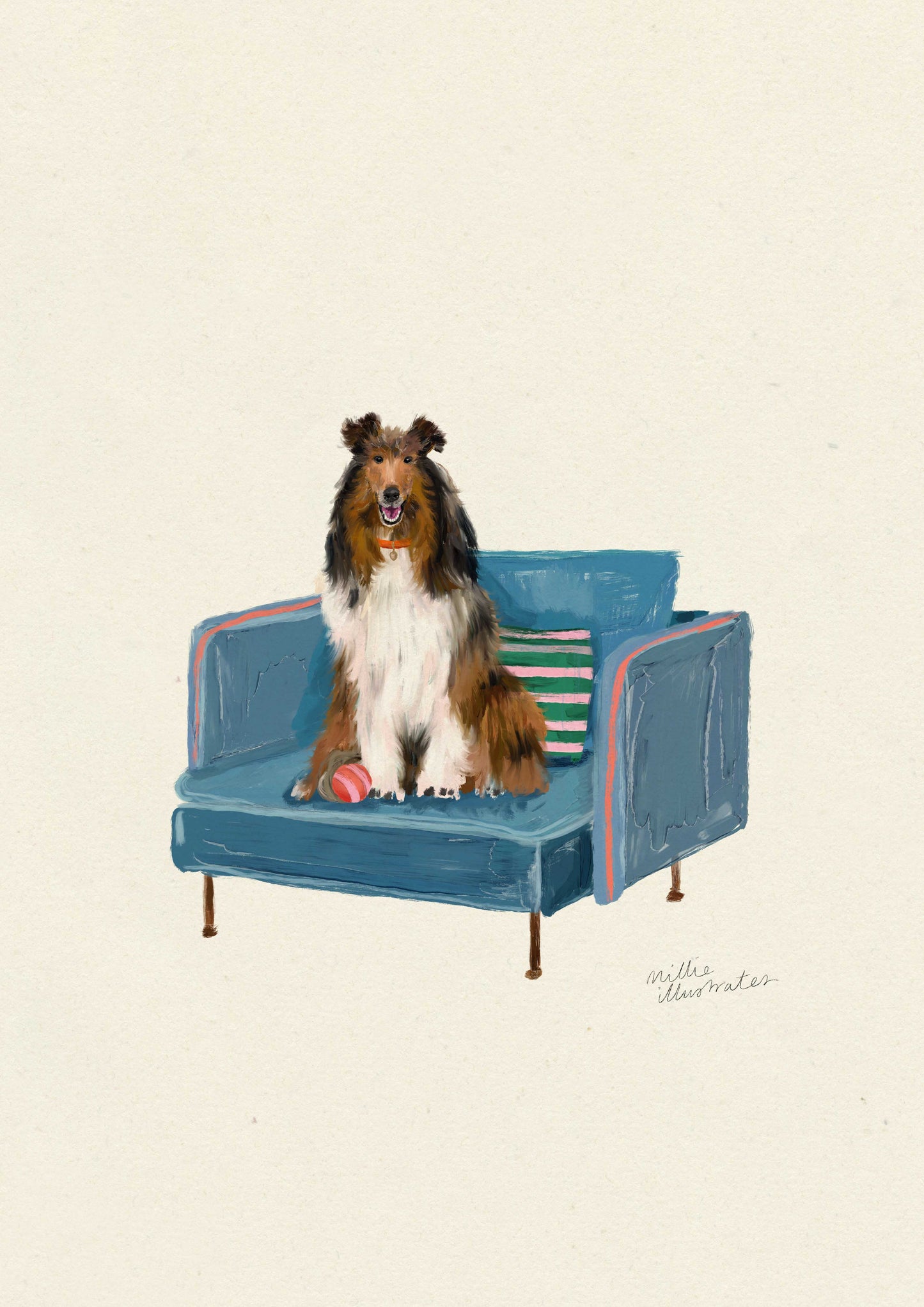 Rough Collie (Lassie)