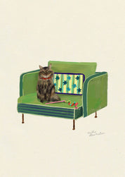 Tabby Long Haired - Domestic