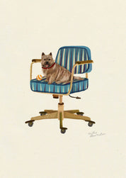 Norwich Terrier