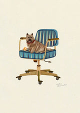 Norwich Terrier
