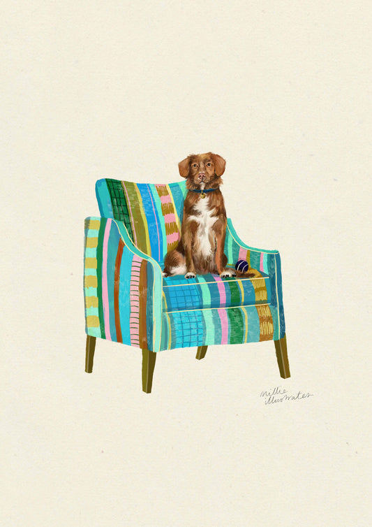 Nova Scotia Duck Tolling Retriever