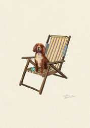 Red Sprocker