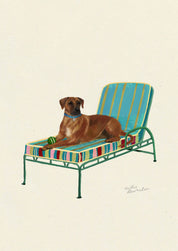 Rhodesian Ridgeback