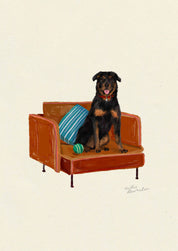 Rottweiler