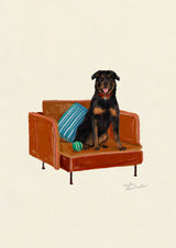 Rottweiler