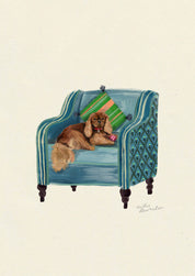 Ruby Cavalier King Charles Spaniel