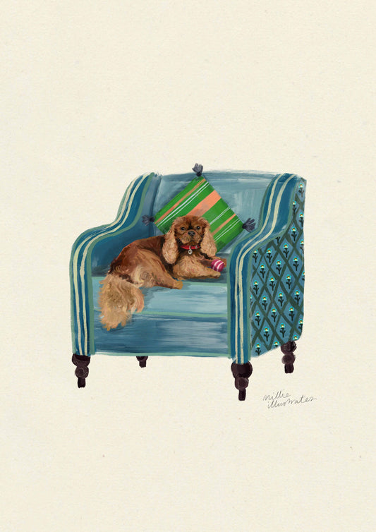 Ruby Cavalier King Charles Spaniel