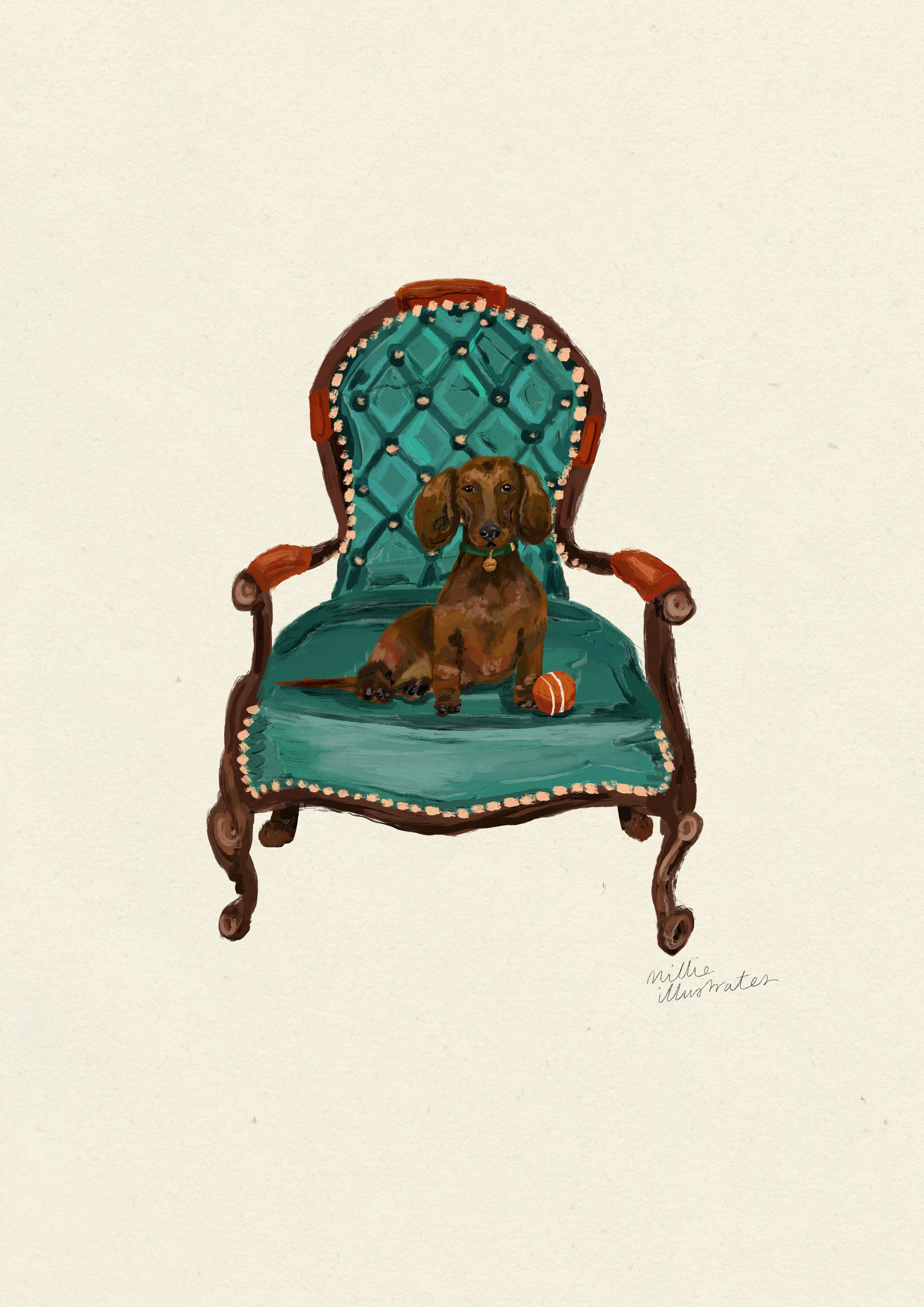 Dachshund