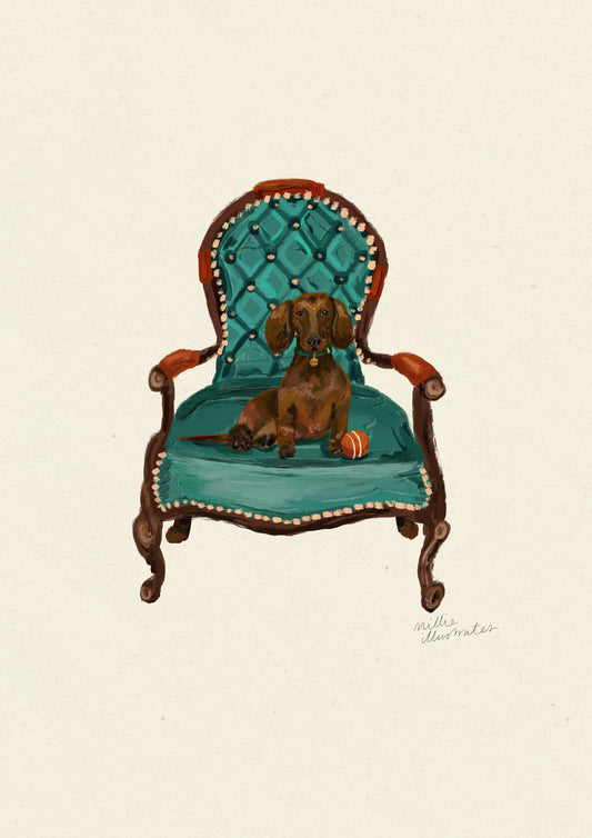 Dachshund