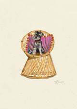 Schnauzer