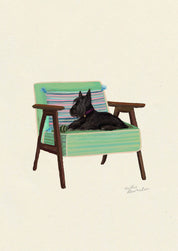 Scottish Terrier