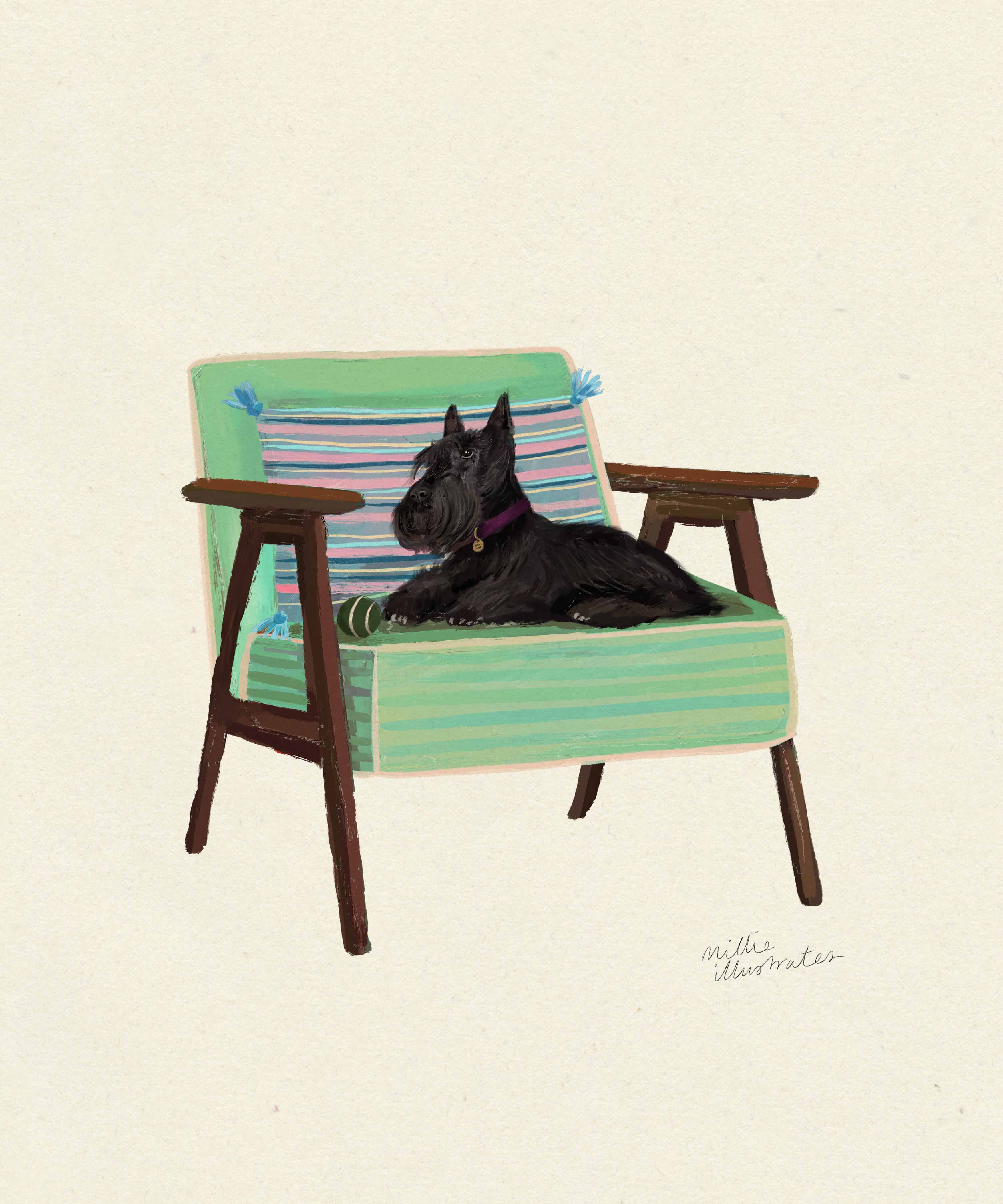 scottishterrier.jpg