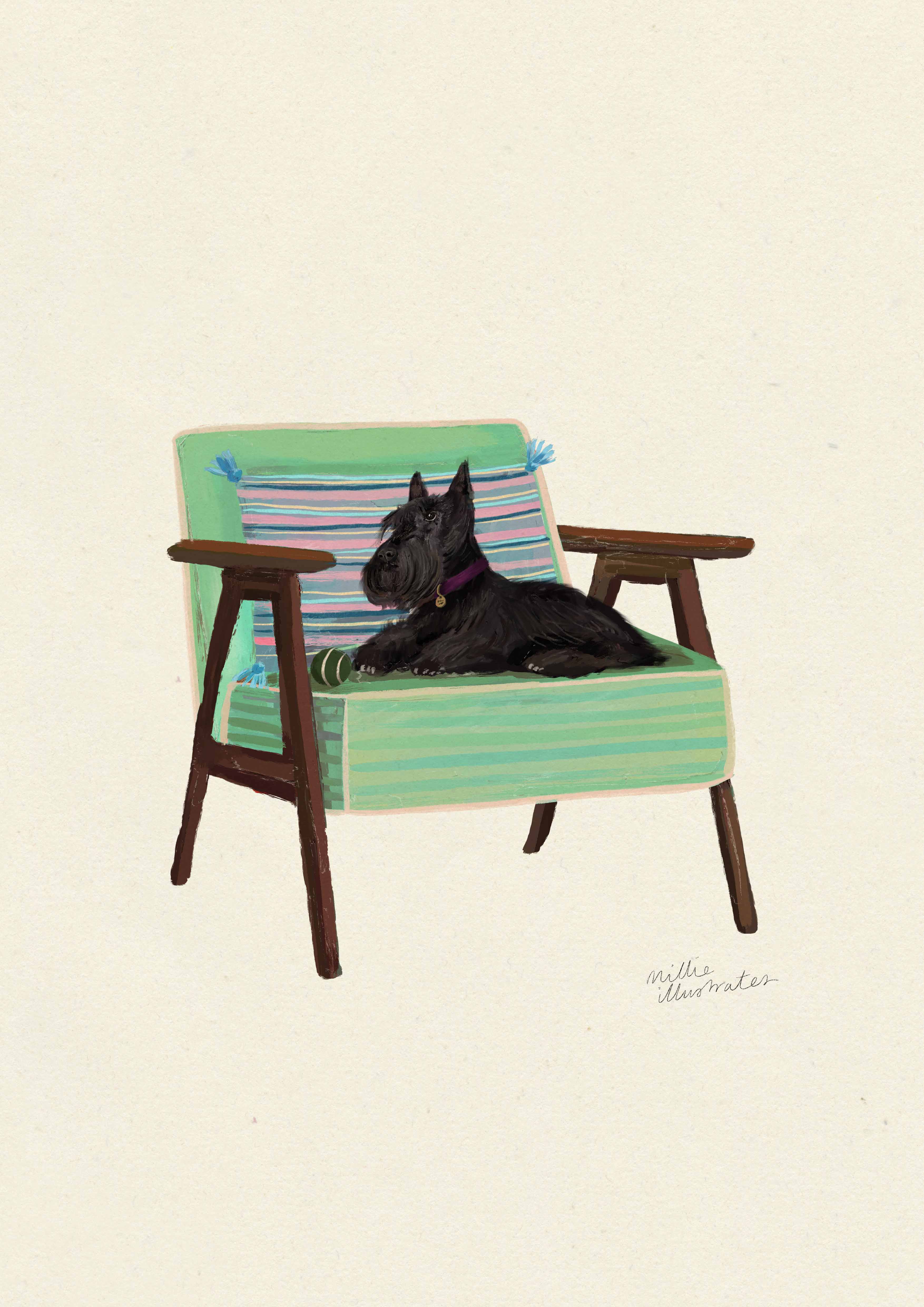 Scottish Terrier