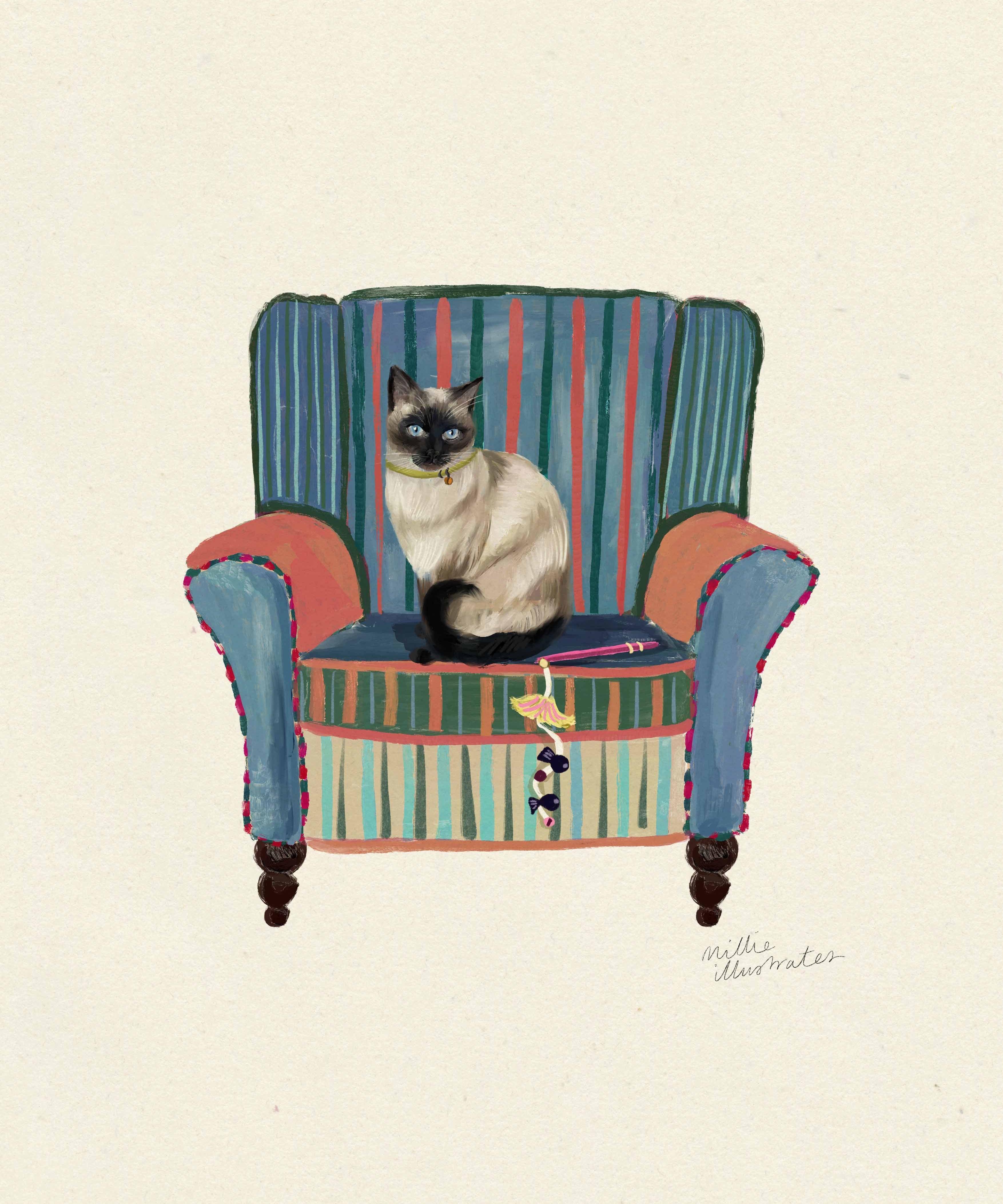 sealpointsiamese.jpg