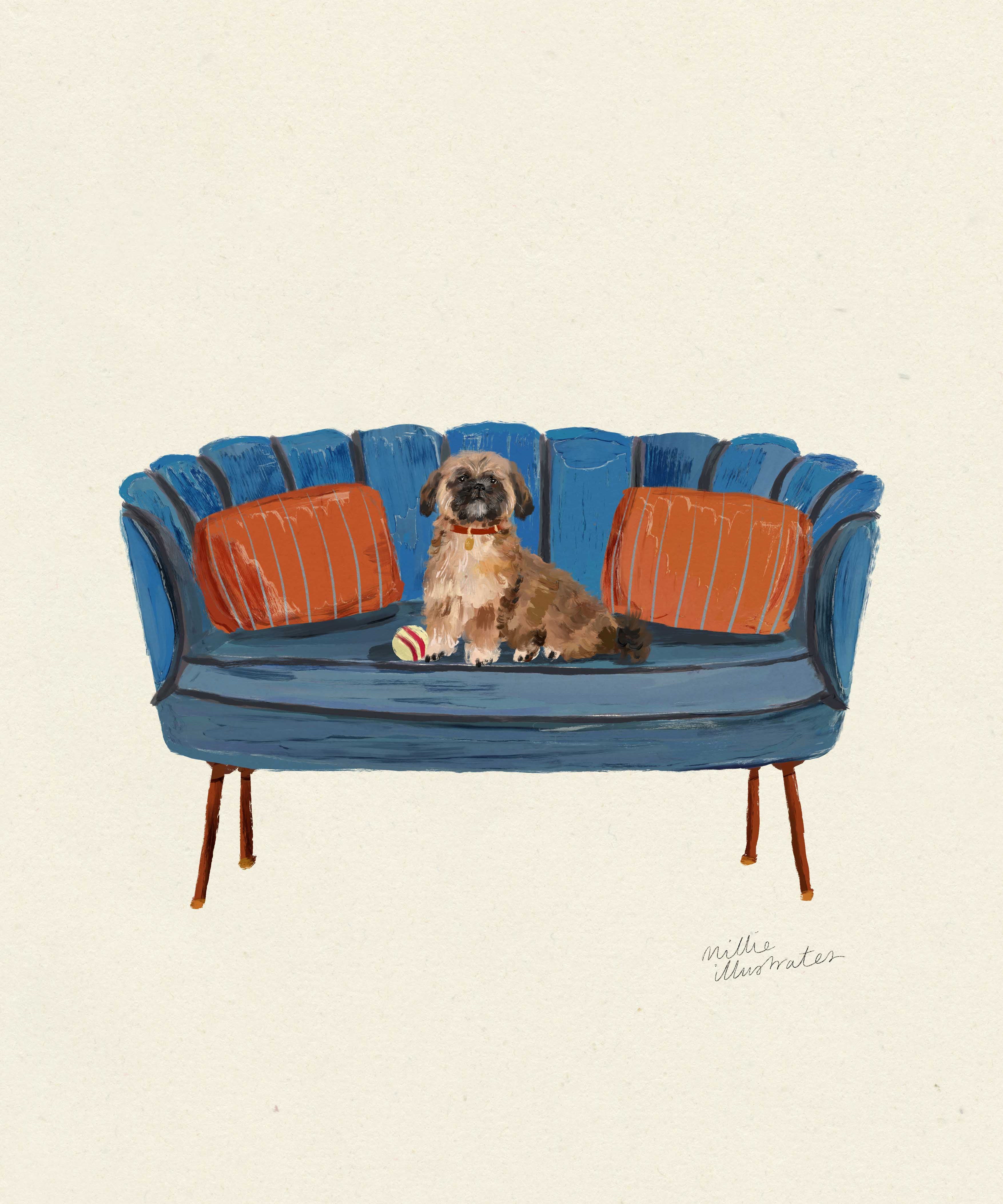 shih_tzu_0b5e856e-ec34-455d-9cf5-3bbbd77b6604.jpg
