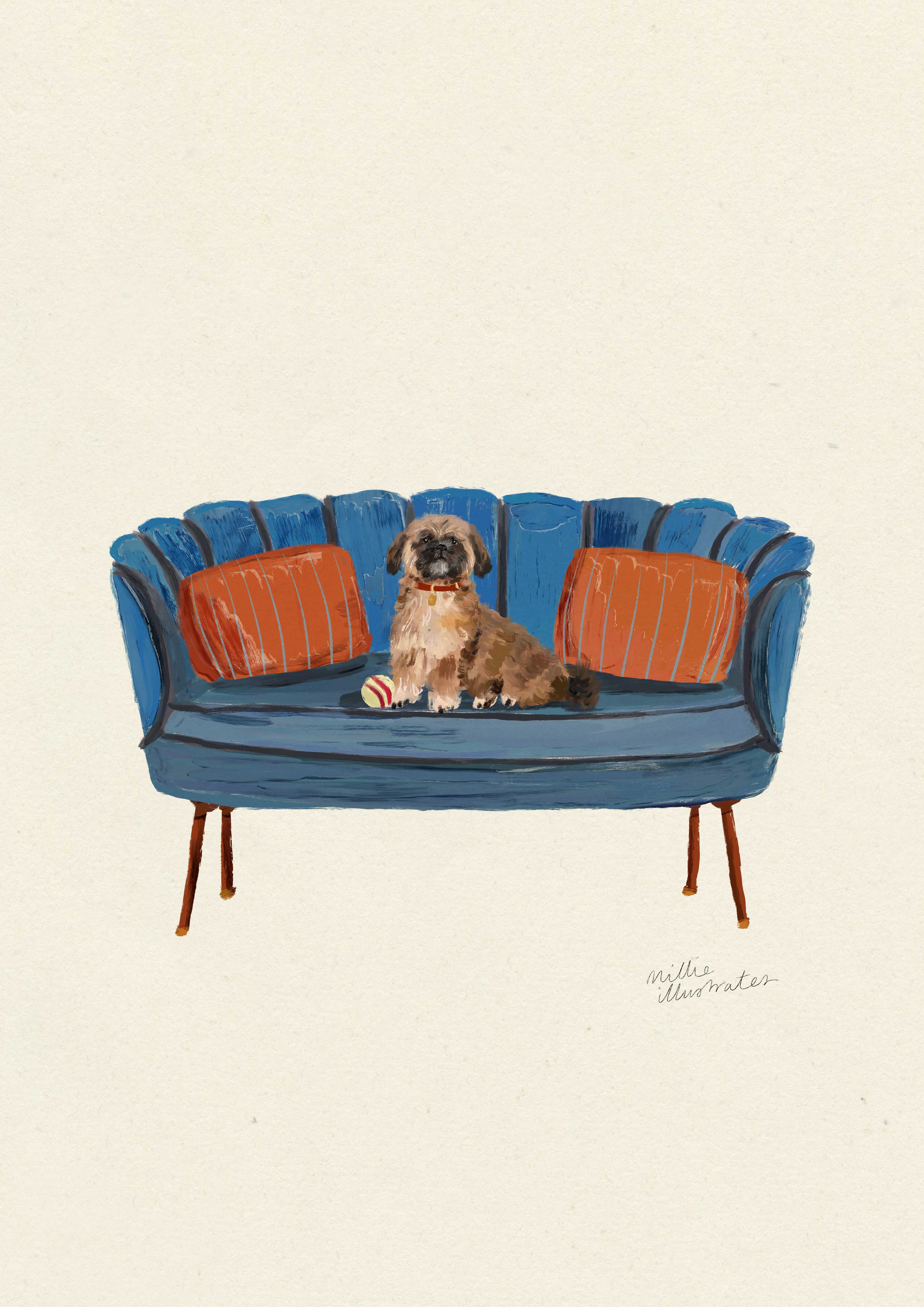 Shih Tzu