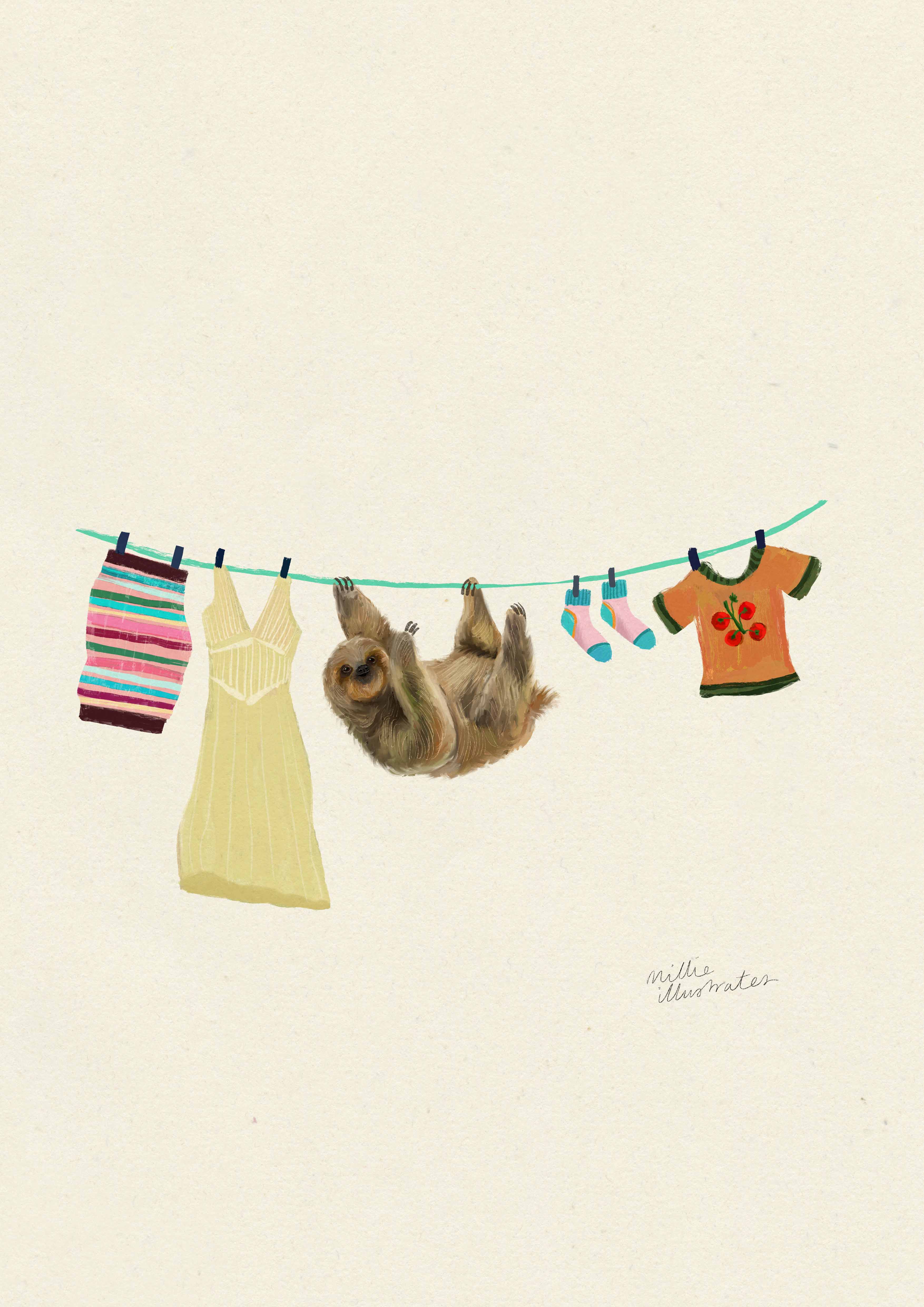 Sloth on the washing line