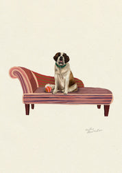 St Bernard