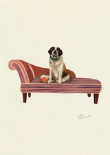 St Bernard