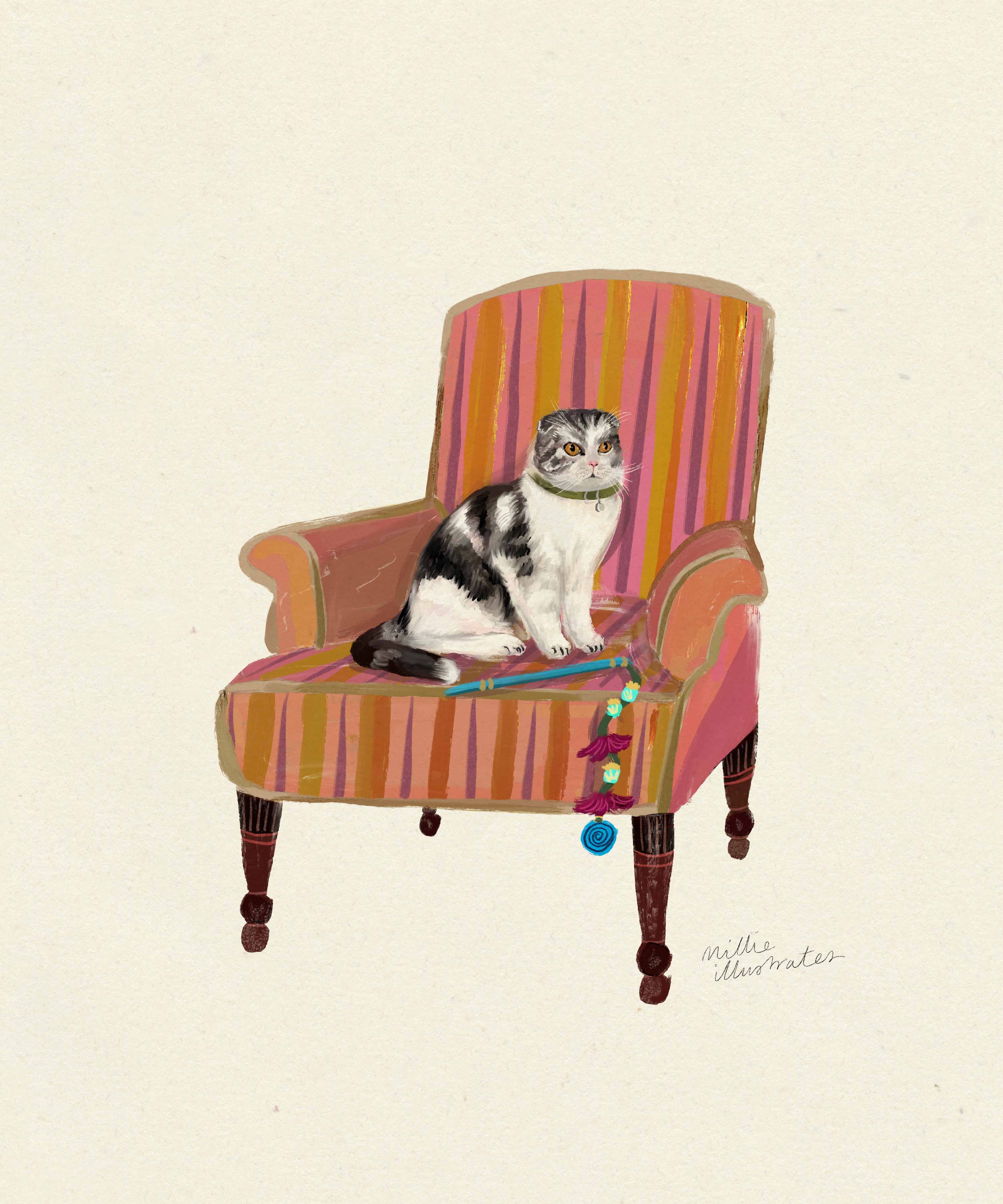 tabby_and_white_scottish_fold.jpg
