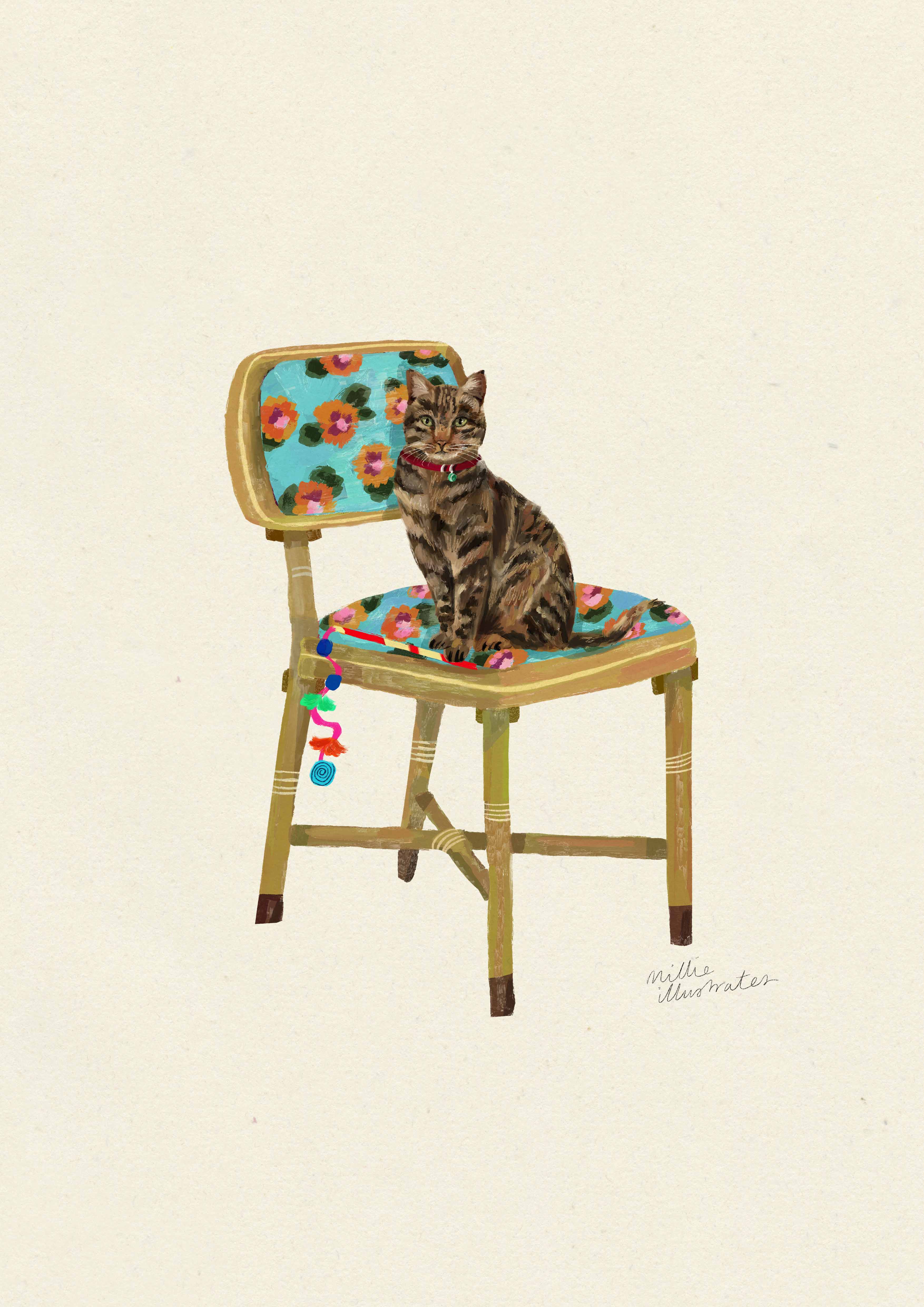 Tabby Short Haired - Domestic