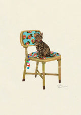Tabby Short Haired - Domestic