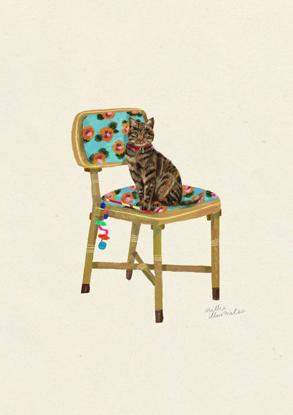 Tabby Short Haired - Domestic