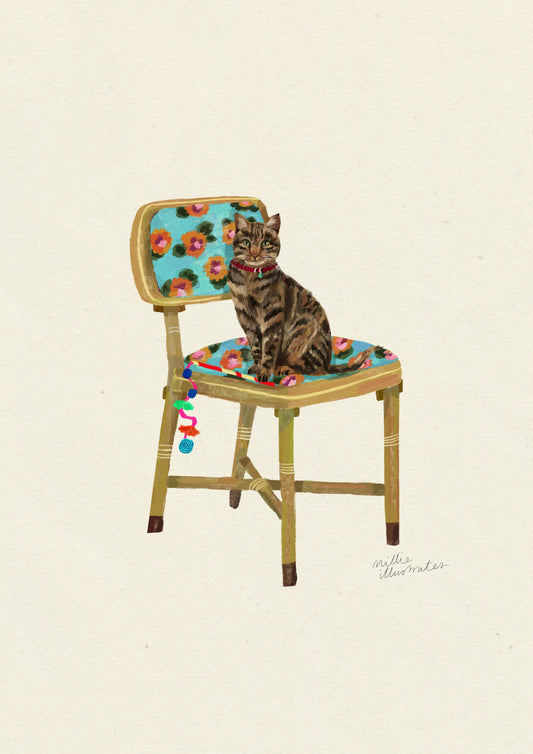 Tabby Short Haired - Domestic