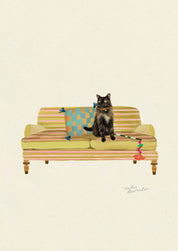 Tortoiseshell Long Haired - Domestic