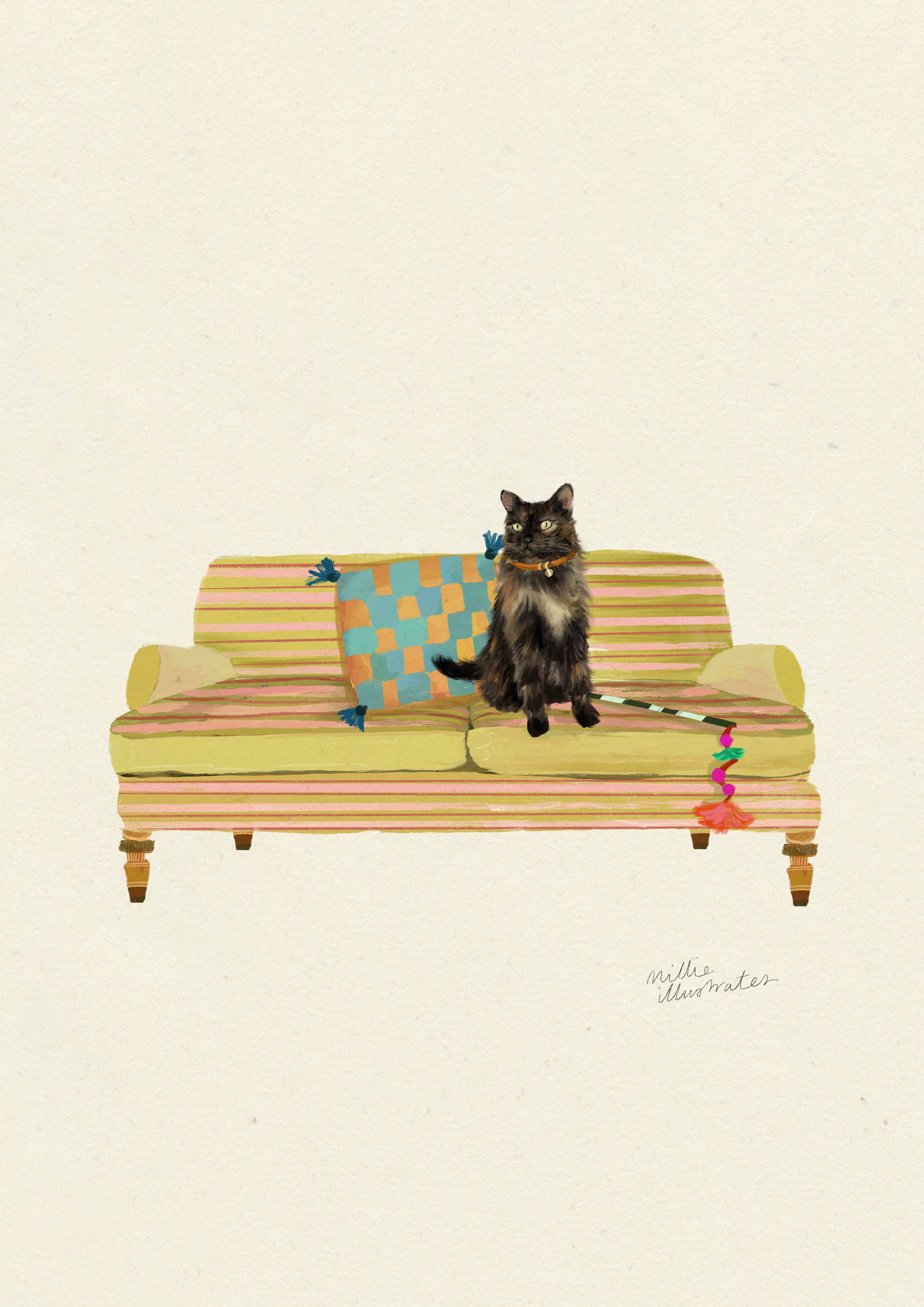 Tortoiseshell Long Haired - Domestic