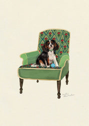 Tri-Colour Cavalier King Charles Spaniel