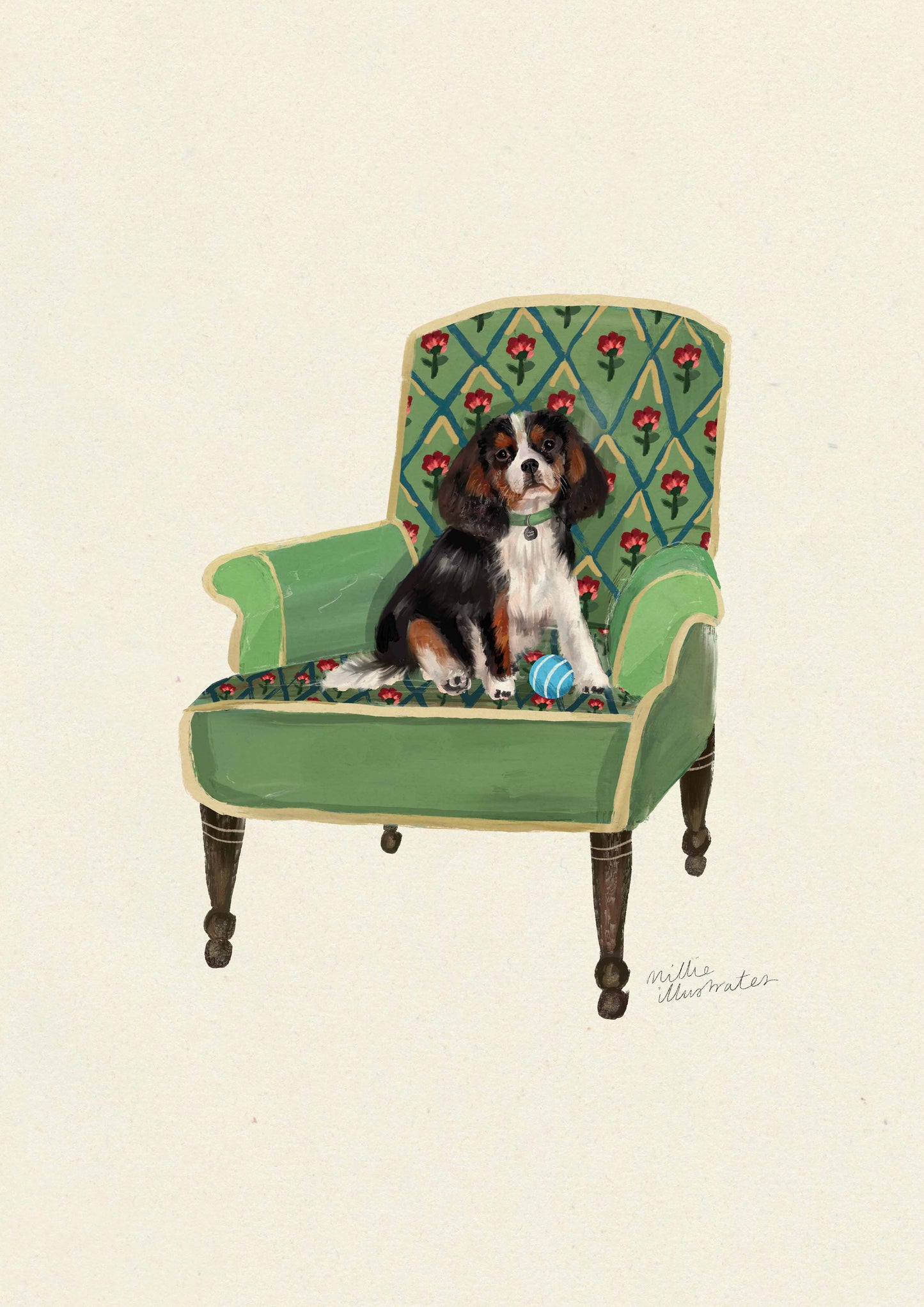 Tri-Colour Cavalier King Charles Spaniel