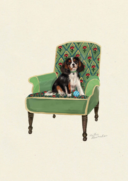 Tri-Colour Cavalier King Charles Spaniel