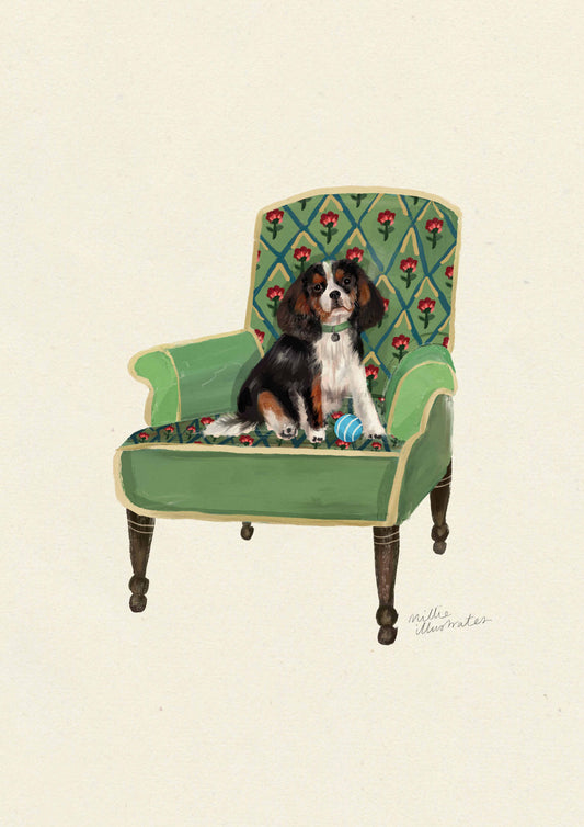 Tri-Colour Cavalier King Charles Spaniel