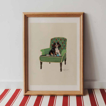 Tri-Colour Cavalier King Charles Spaniel