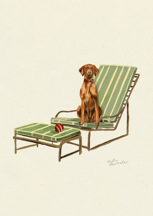 Vizsla