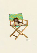 Welsh Springer Spaniel