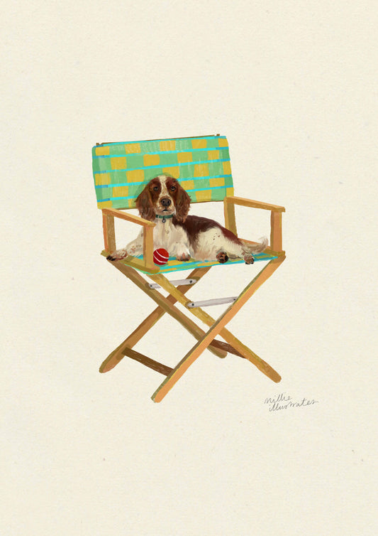 Welsh Springer Spaniel