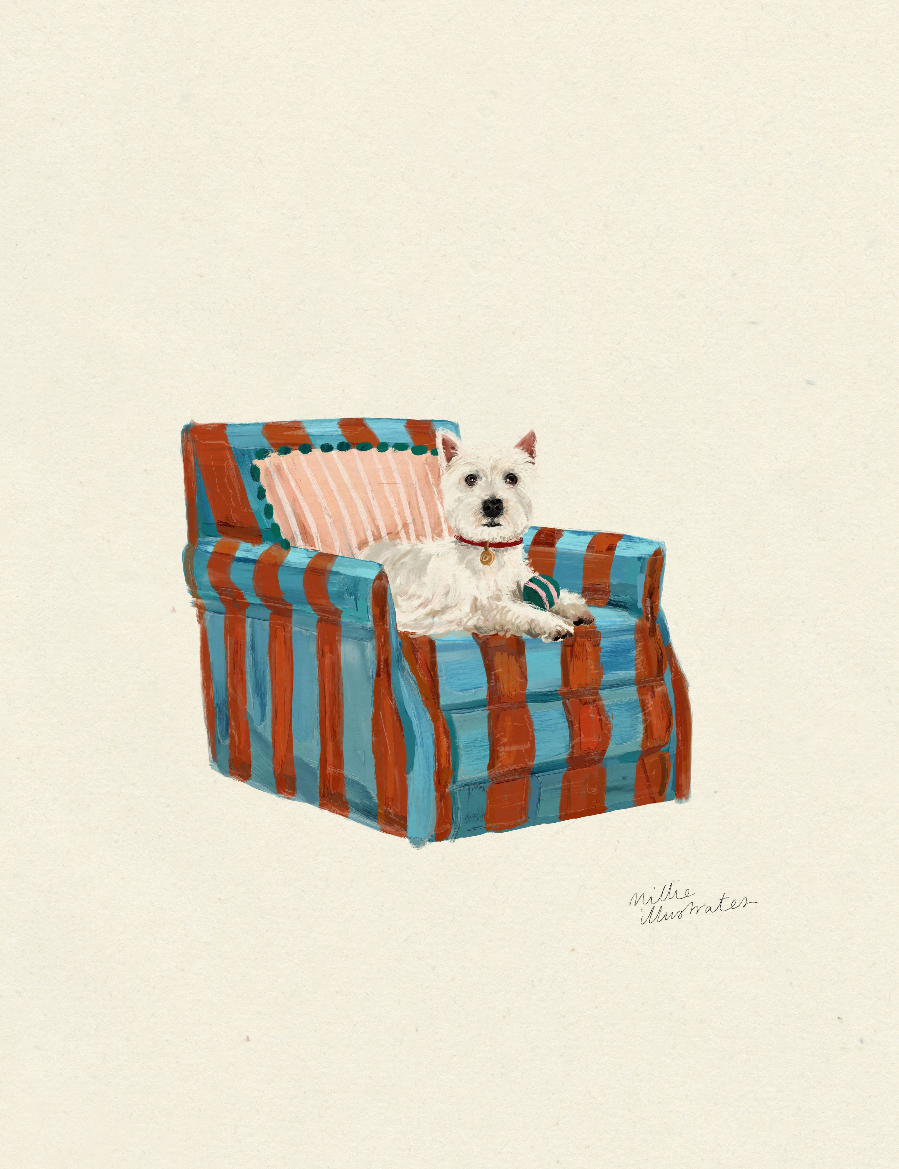 westie.jpg