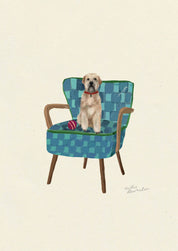 Soft Coated Wheaten Terrier