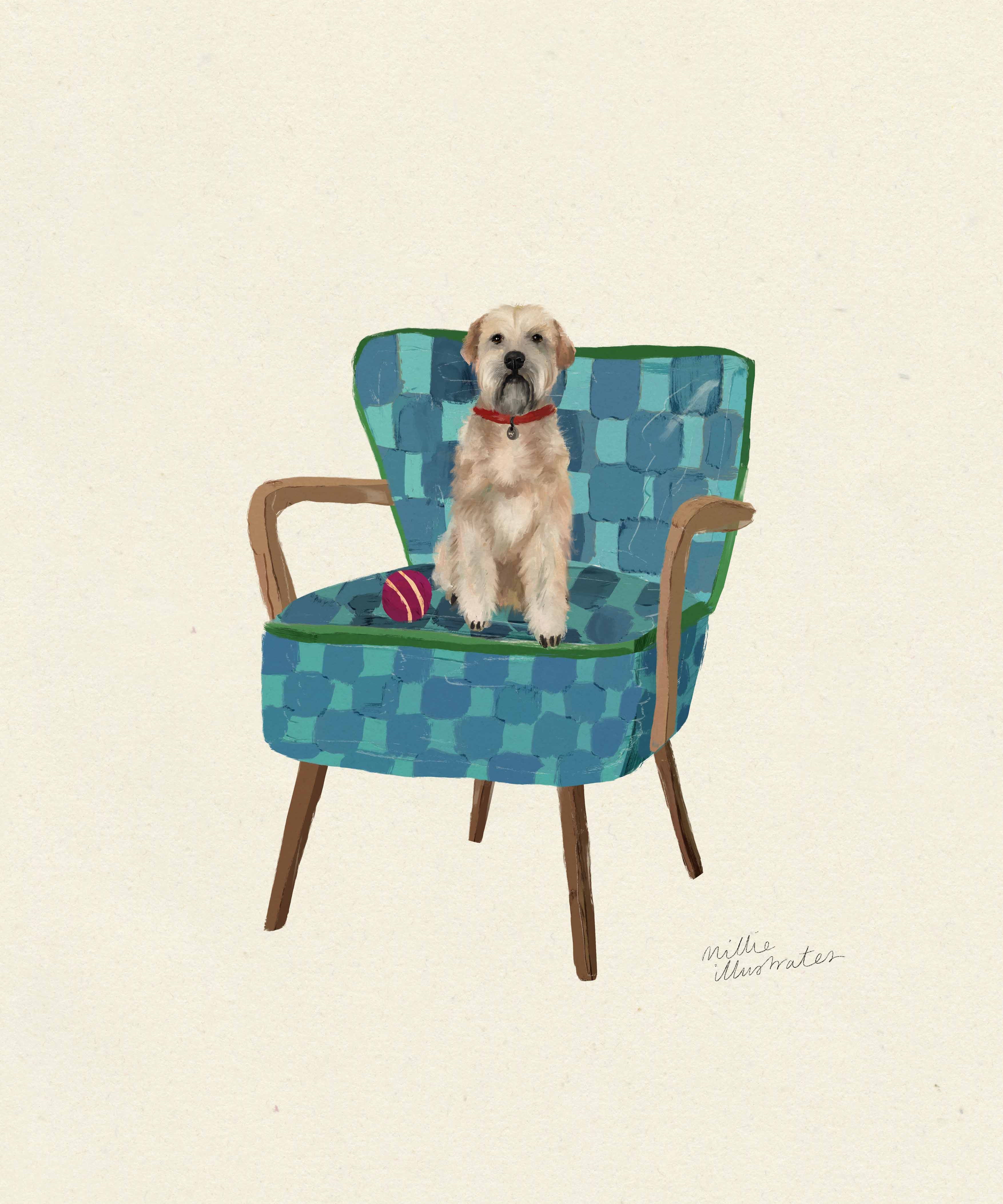 wheatenterrierimage.jpg