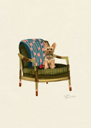 Yorkshire Terrier